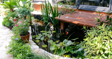 金牌設(shè)計(jì)師團(tuán)隊(duì)