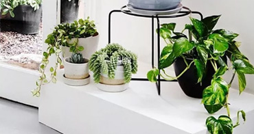 國際質(zhì)量體系認(rèn)證