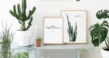 誠信交易、專業(yè)服務(wù)、多年品牌