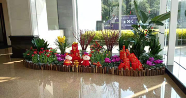 多場(chǎng)景專(zhuān)業(yè)綠植租賃