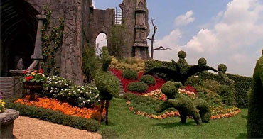 高級(jí)園藝師團(tuán)隊(duì)