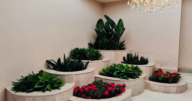 學(xué)習(xí)并引進(jìn)國(guó)外先進(jìn)養(yǎng)護(hù)系統(tǒng)與經(jīng)驗(yàn)