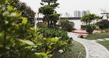 現(xiàn)場參觀花園實(shí)景