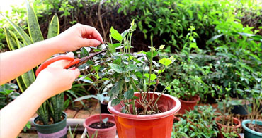 8+1配置貼心服務(wù)