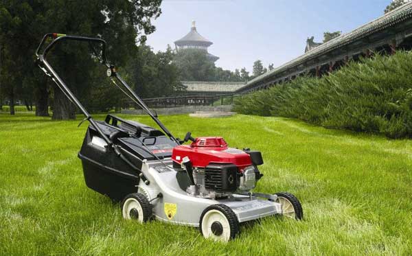 政企單位綠化養(yǎng)護(hù)