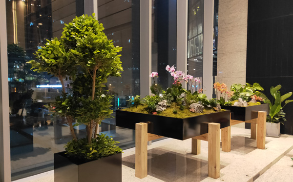 物業(yè)大樓綠植租賃