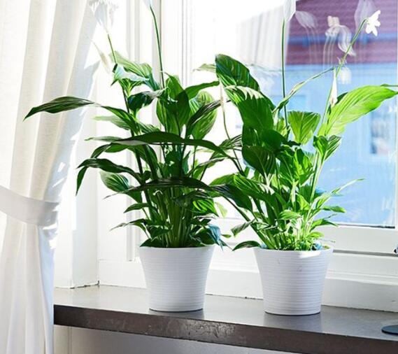 QQ截圖20220913102253 QQ截圖20220913102253