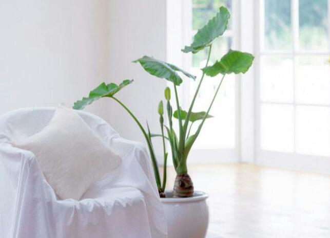 QQ截圖20221011135536 QQ截圖20221011135536